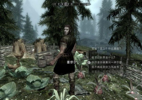 上古卷轴5苹果版mod上古卷轴5真实需求mod-第2张图片-太平洋在线下载