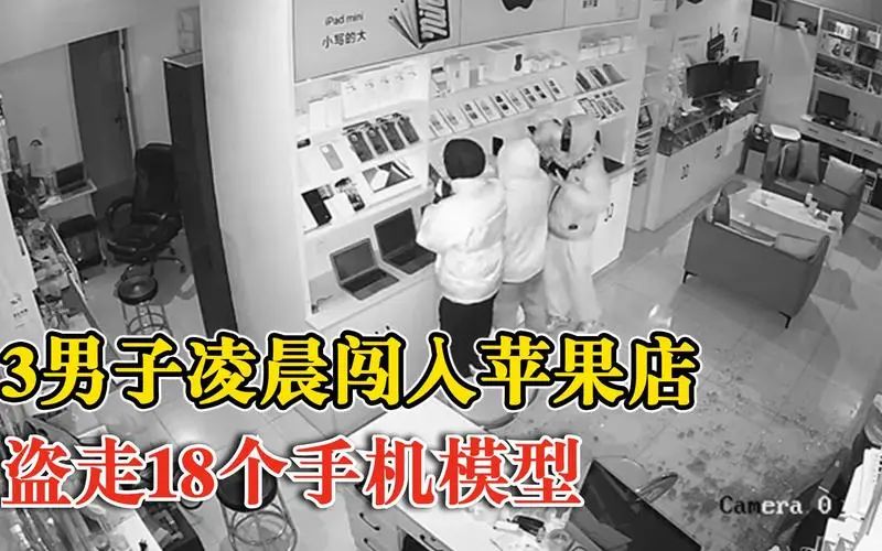 蠢贼抢手机模型新闻抢手机店抢了一堆模型什么电影-第2张图片-太平洋在线下载