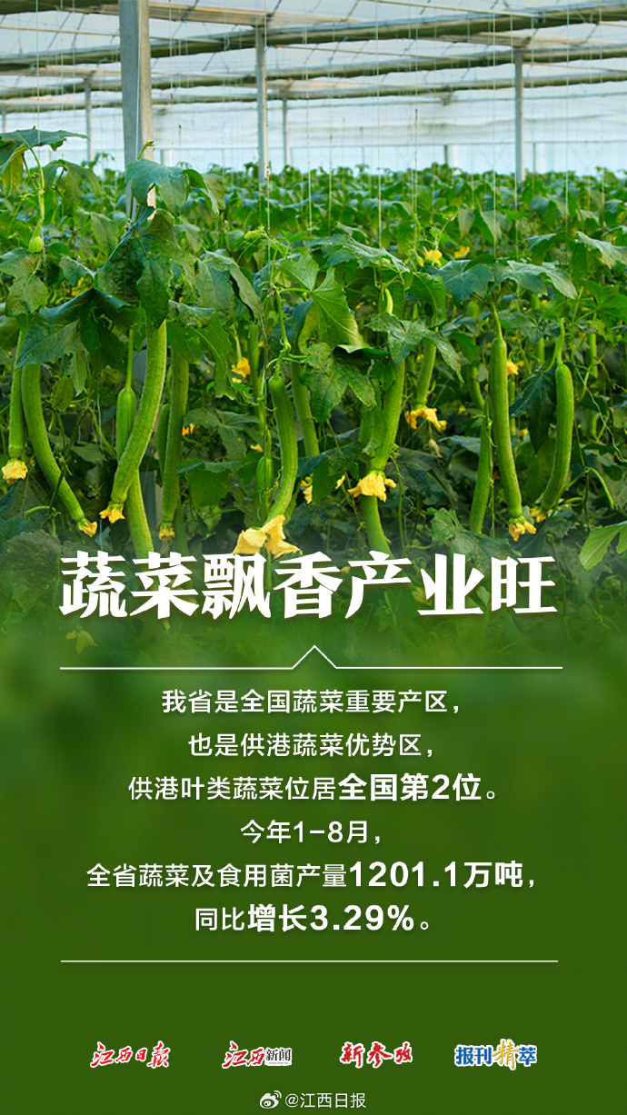 盛大客户端12盛大官网传奇客户端