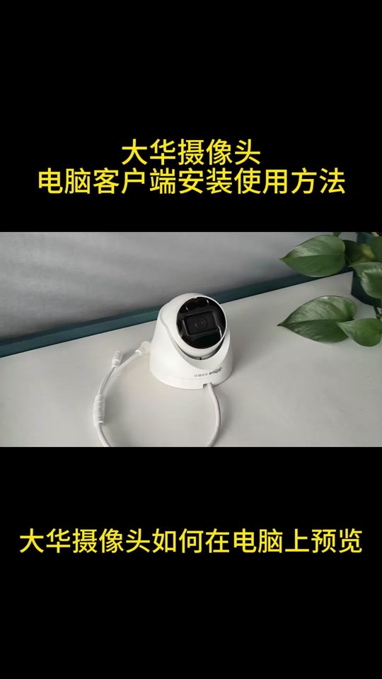 大华客户端如何下载大华客户端软件下载电脑版-第2张图片-太平洋在线下载