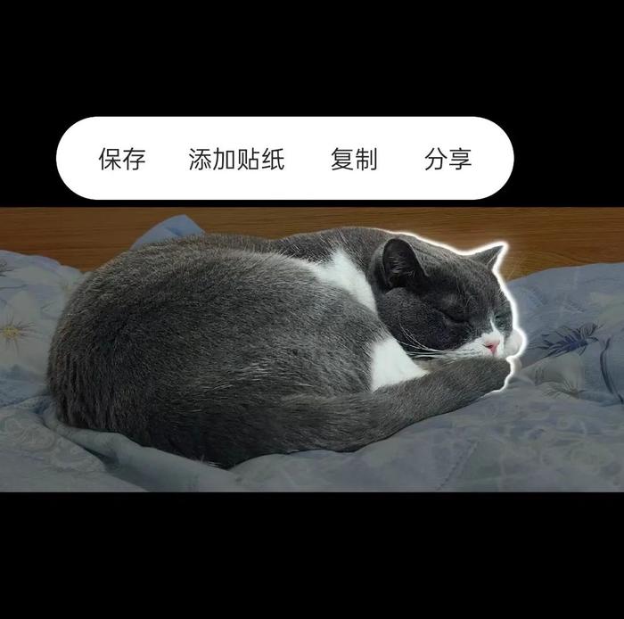 兔子过河安卓版大象小兔子过河看图写话-第2张图片-太平洋在线下载