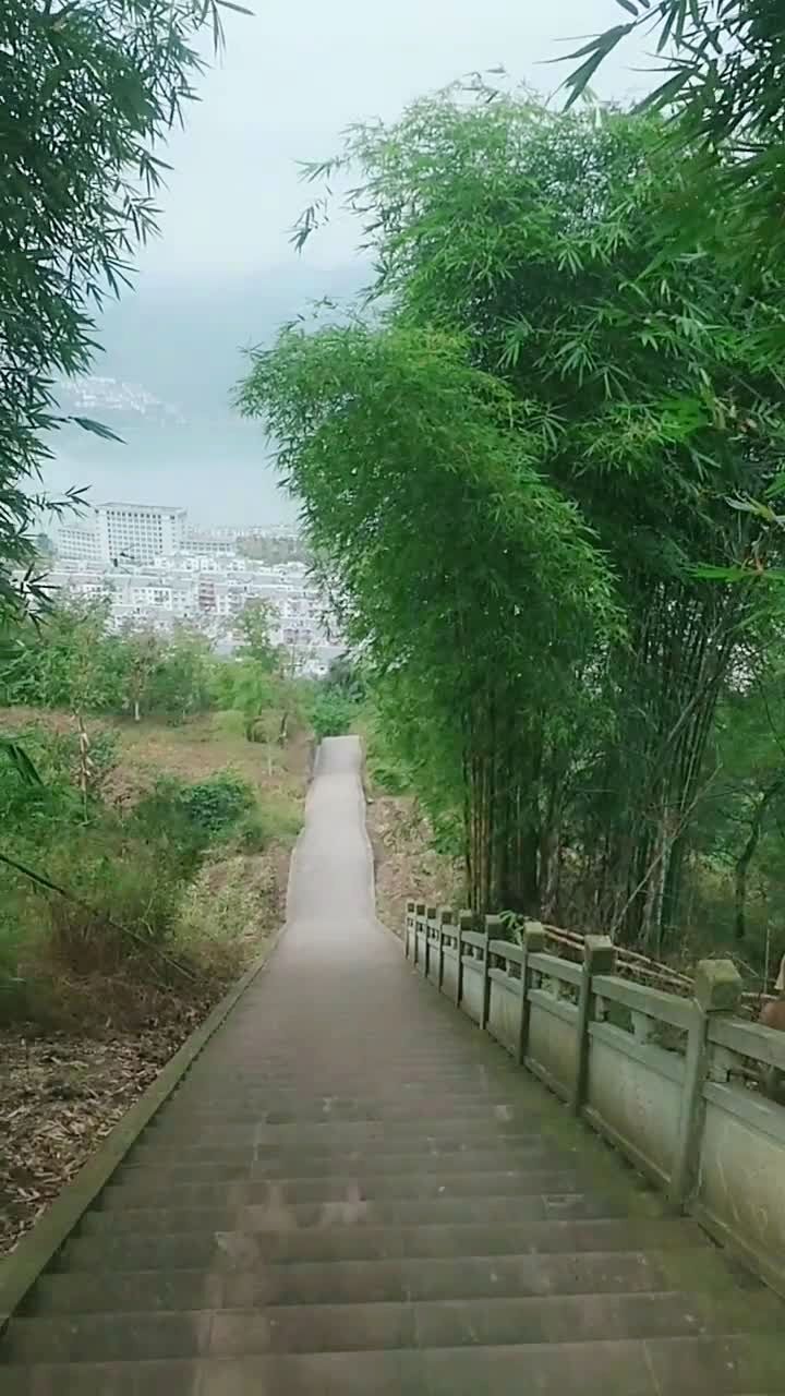 云梯手机安卓版纵云梯apk下载
