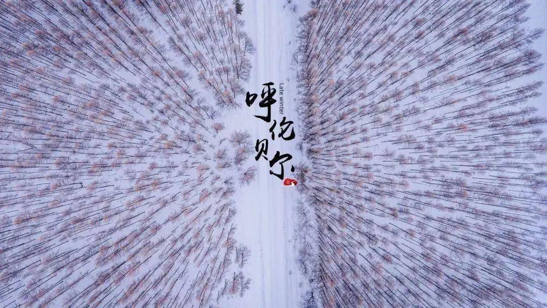 雪地阅读学生版苹果版的简单介绍-第5张图片-QuickQ官网