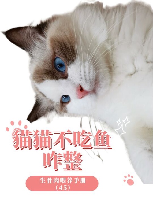 包含吃不到鱼的猫安卓版下载的词条-第2张图片-QuickQ官网