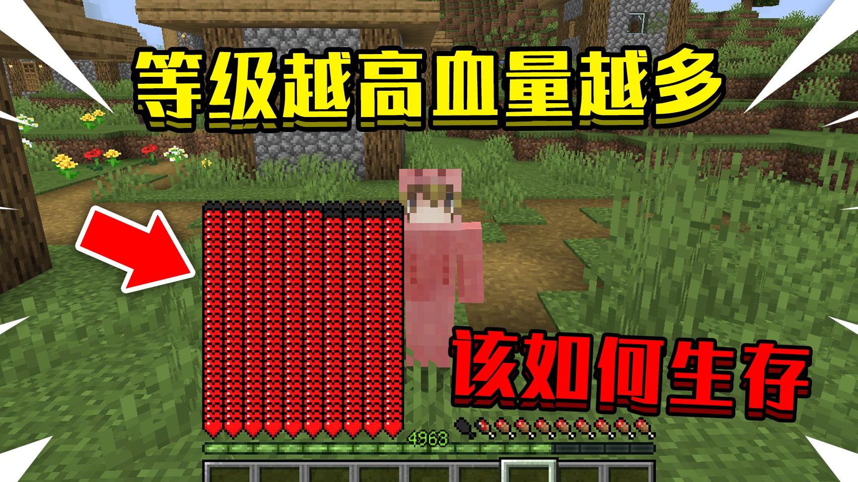 手机版mc血条优化(我的世界1122血条mod)