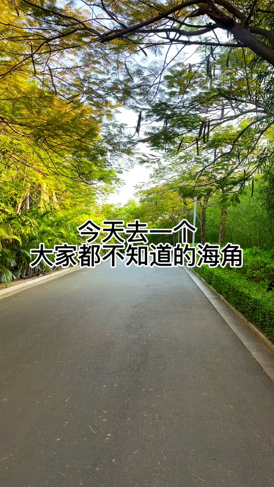 包含手机版海角社区怎么进入的词条