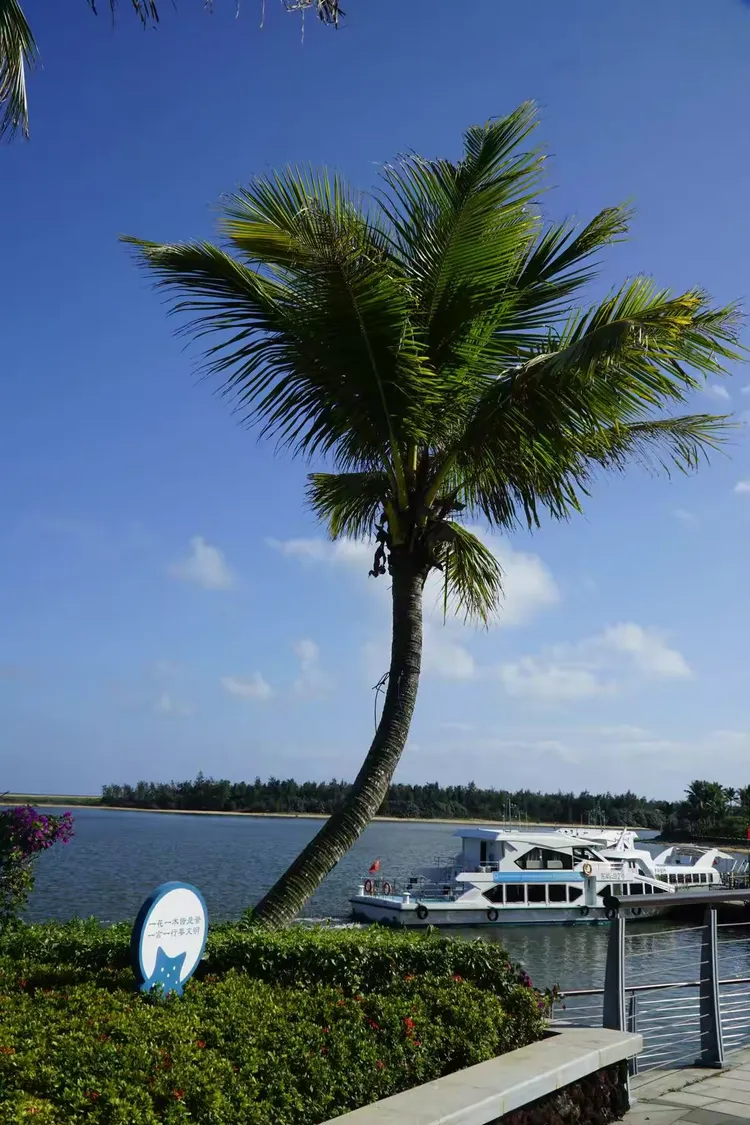 包含手机版海角社区怎么进入的词条-第4张图片-QuickQ官网